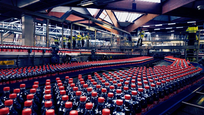 Sector Alimentos