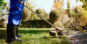 Lee más sobre el artículo Jardinería empresarial, los cuidados en invierno